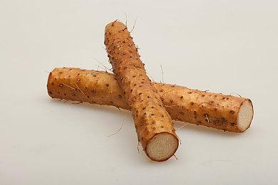 《消逝的光芒2》将推出Switch云玩版 1代白金版开放预购